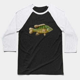 Sunfish Baseball T-Shirt